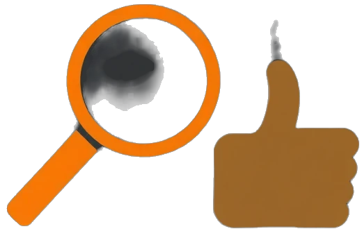 Inspection and satisfaction icon
