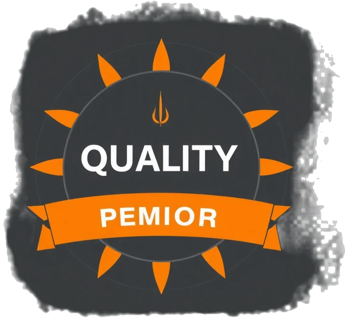Inspection and satisfaction icon